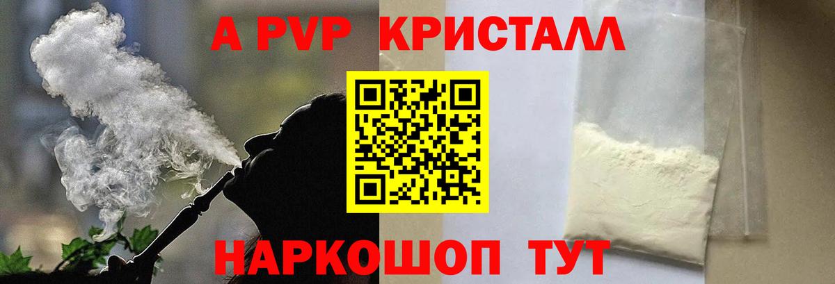 A PVP СК КРИС Курган