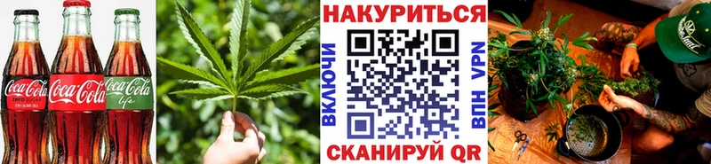 Cannafood конопля Курган