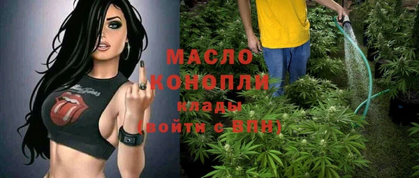 гашик Майский