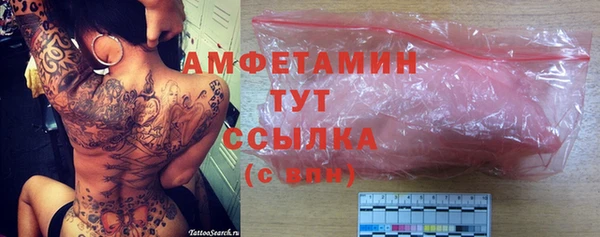 гашик Майский