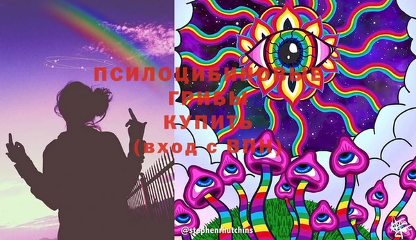 дурь Магас