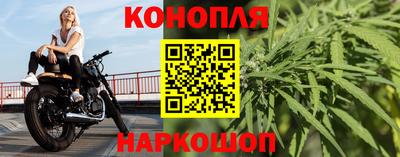 герыч Кингисепп