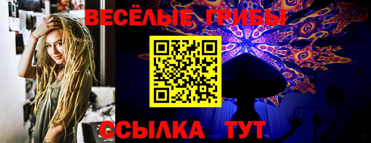 Псилоцибиновые грибы Psilocybe Курган