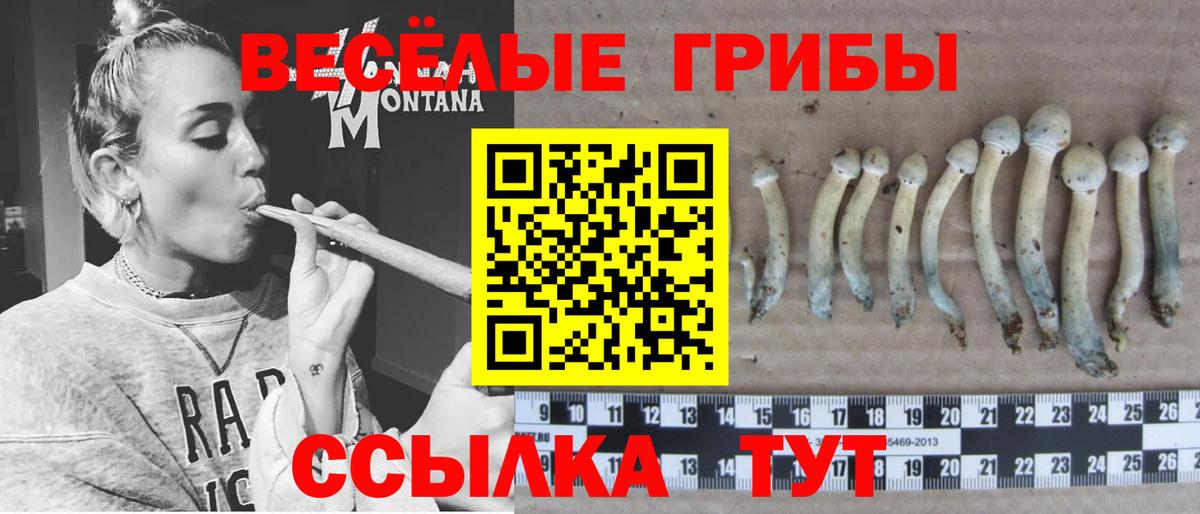 Галлюциногенные грибы MAGIC MUSHROOMS Курган