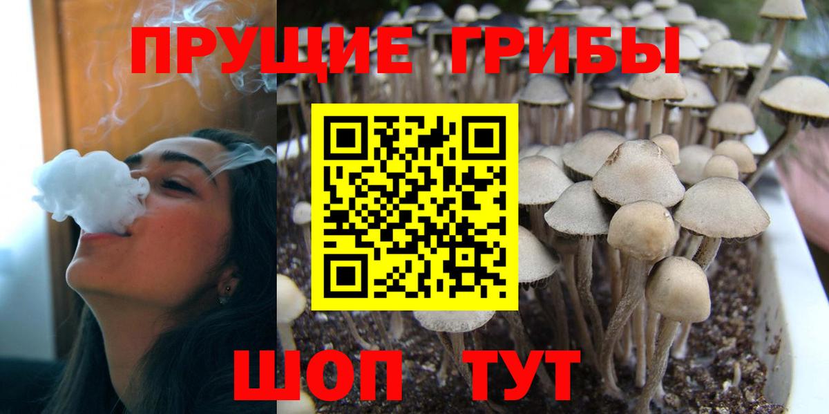 Вейп ТГК Курган